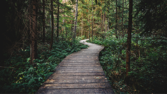 Hiking Adventures Await: Nov. 17 Trails on Long Island | Laffey Real Estate